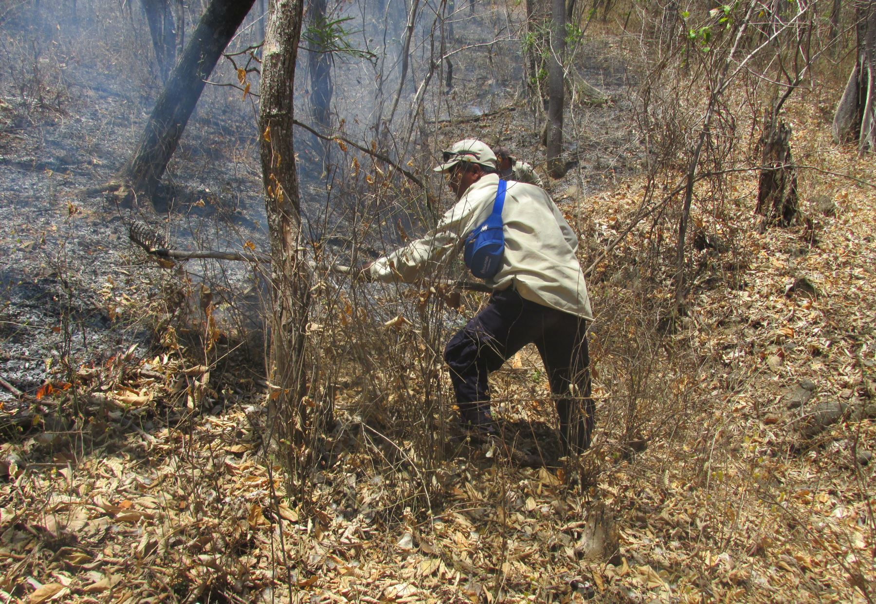 Incendio forestal se inició el último sábado 9 de setiembre en la localidad de Ancahuachana. ANDINA