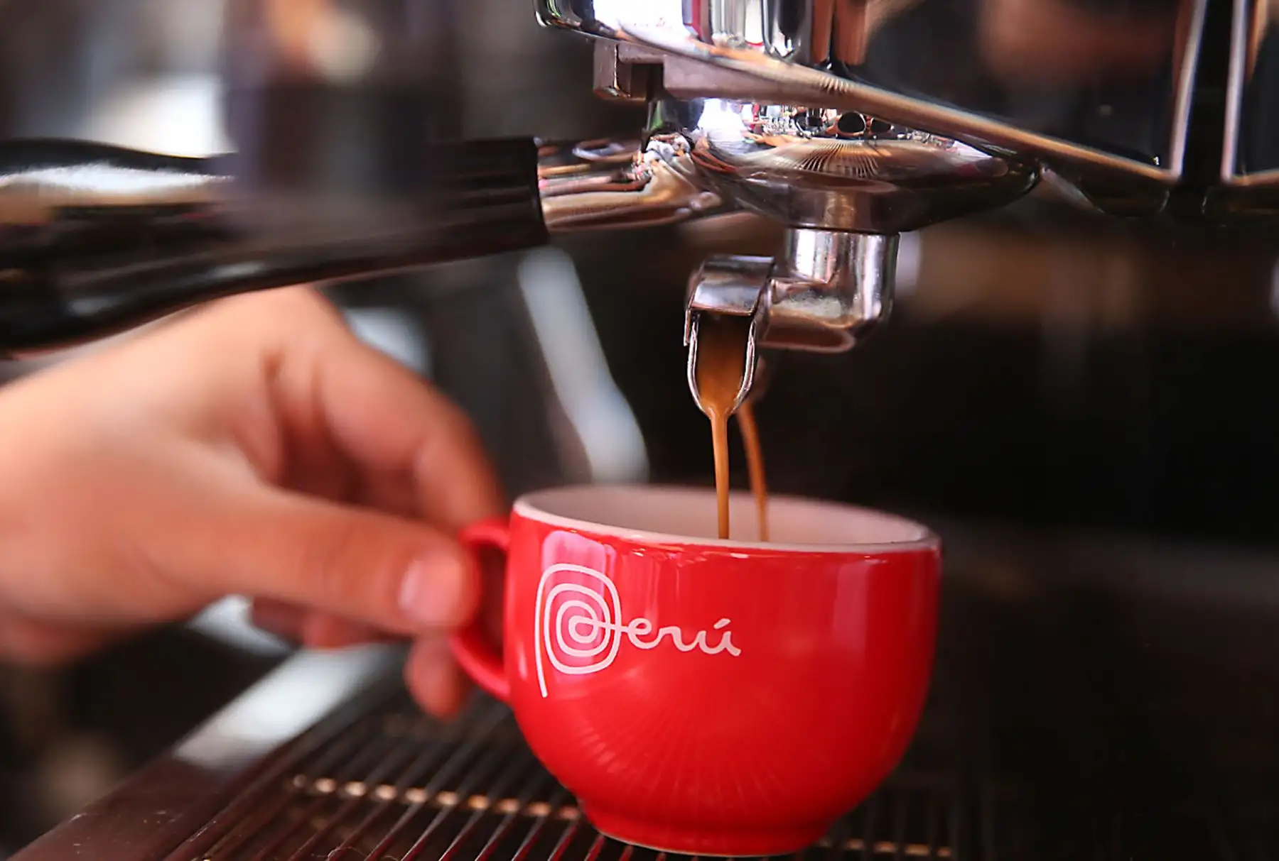 LIMA,PERÚ-NOVIEMBRE 20. Harrysson Neira Barista de APEC 2016.  Foto: ANDINA/Vidal Tarqui