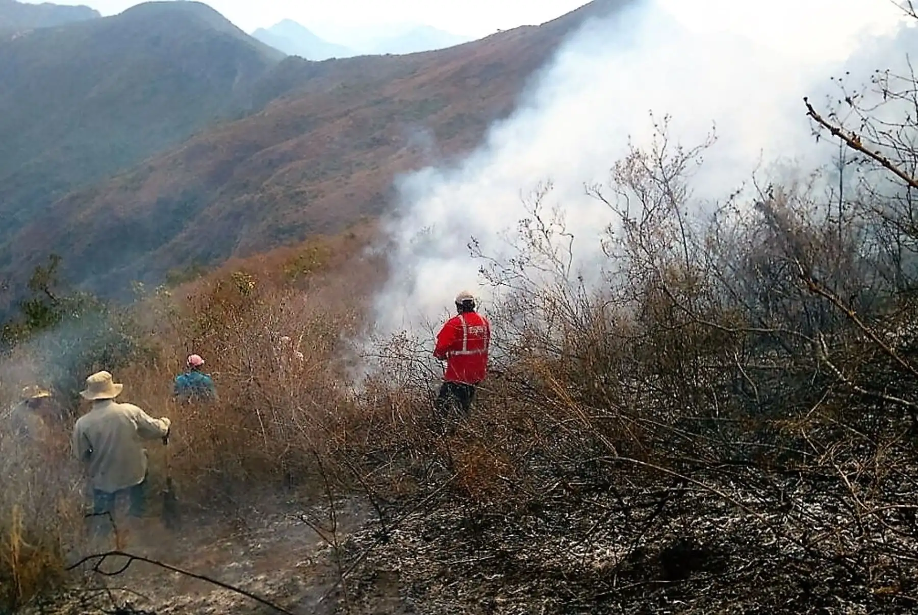 Incendios forestales amenazan biodiversidad en zona de Chaparrí . INTERNET/Medios