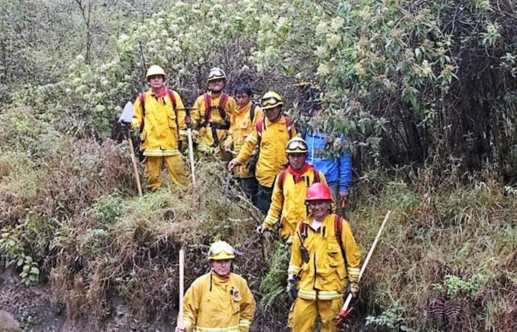 Bomberos forestales de Cusco ayudarán a extinguir incendio forestal en Arequipa. ANDINA/Difusión