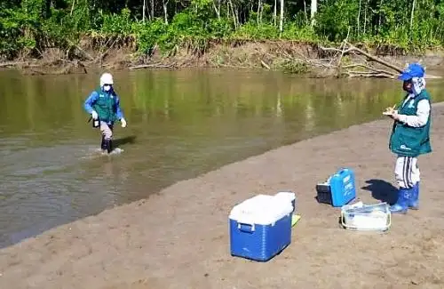 Realizan monitoreo de la calidad del agua en áreas naturales protegidas de Madre de Dios.