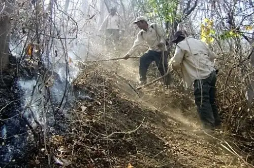 El incendio forestal que se produjo en la víspera en la localidad de Qatun Pata, distrito de Surcubamba, provincia de Tayacaja, región Huancavelica, fue controlado esta mañana por los pobladores y propietarios de los terrenos de la zona, informó el Instituto Nacional de Defensa Civil (Indeci). ANDINA/Difusión