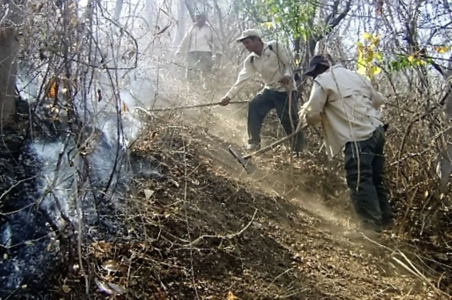 Los incendios forestales que se venían registrando en las localidades de Llurajorho, en el distrito de Huanta, en la región Ayacucho; y Río Seco, en el distrito de Gregorio Pita, en Cajamarca, lograron ser extinguidos en su totalidad en la víspera, sin dejar daños a la vida y salud de las personas. ANDINA/Difusión