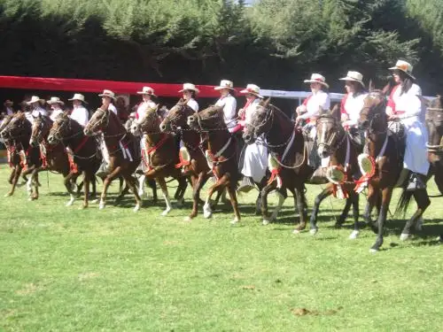 Durante competencia que concluye mañana, la población podrá admirar el brío y la elegancia de los ejemplares que provienen de importantes criaderos del país.