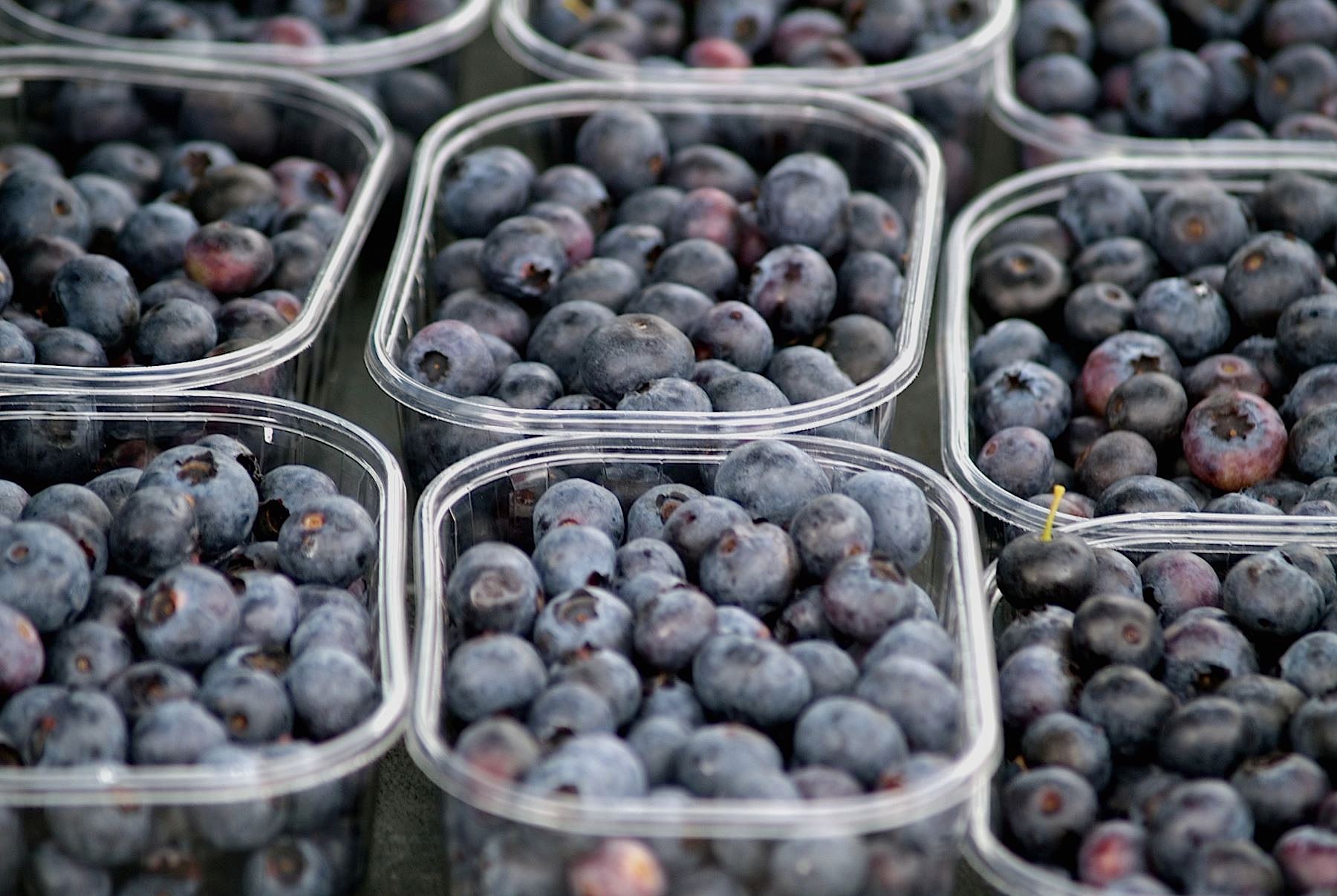 Las populares "blueberries".