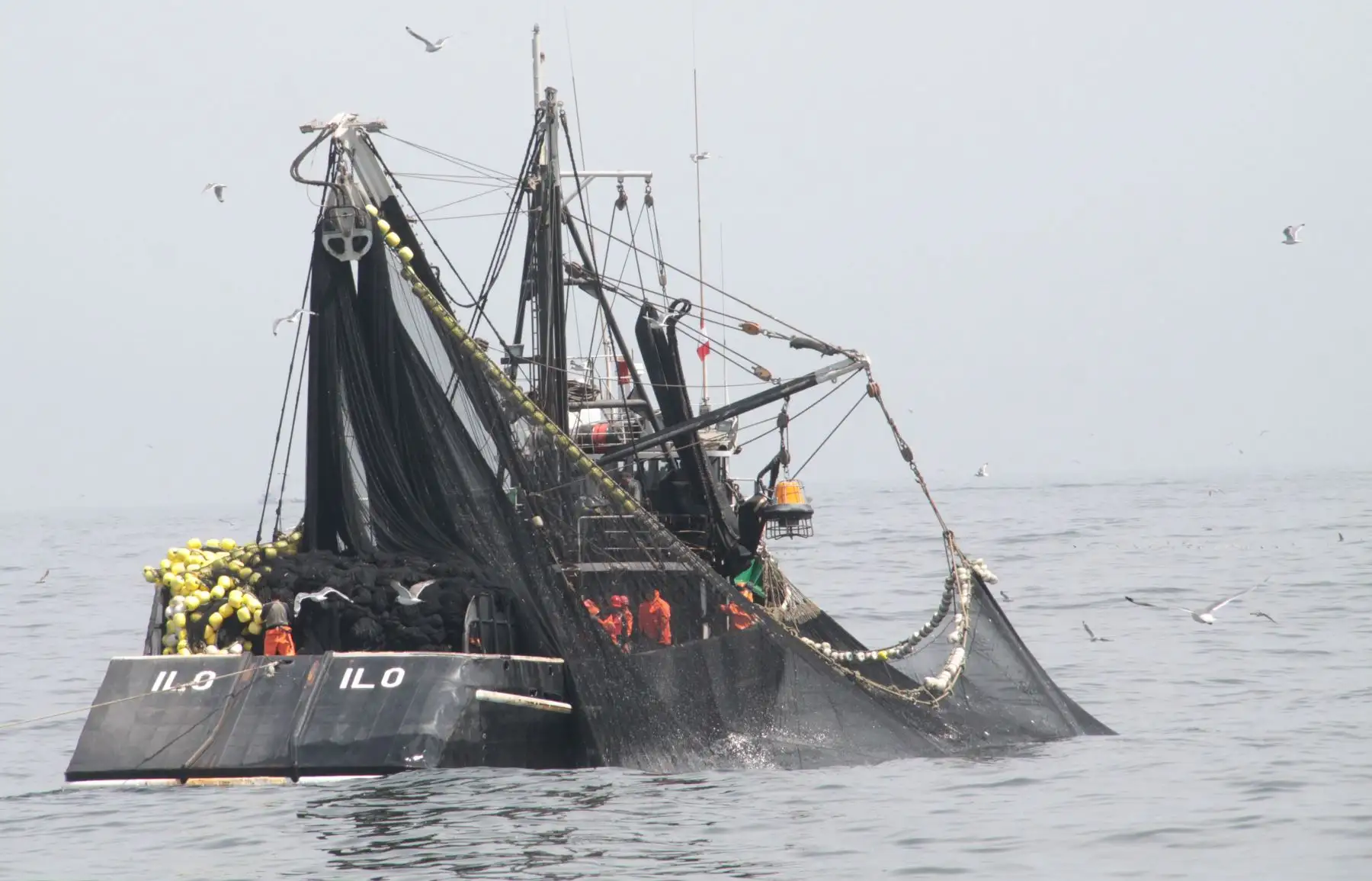 Pesca de anchoveta. ANDINA/Difusión
