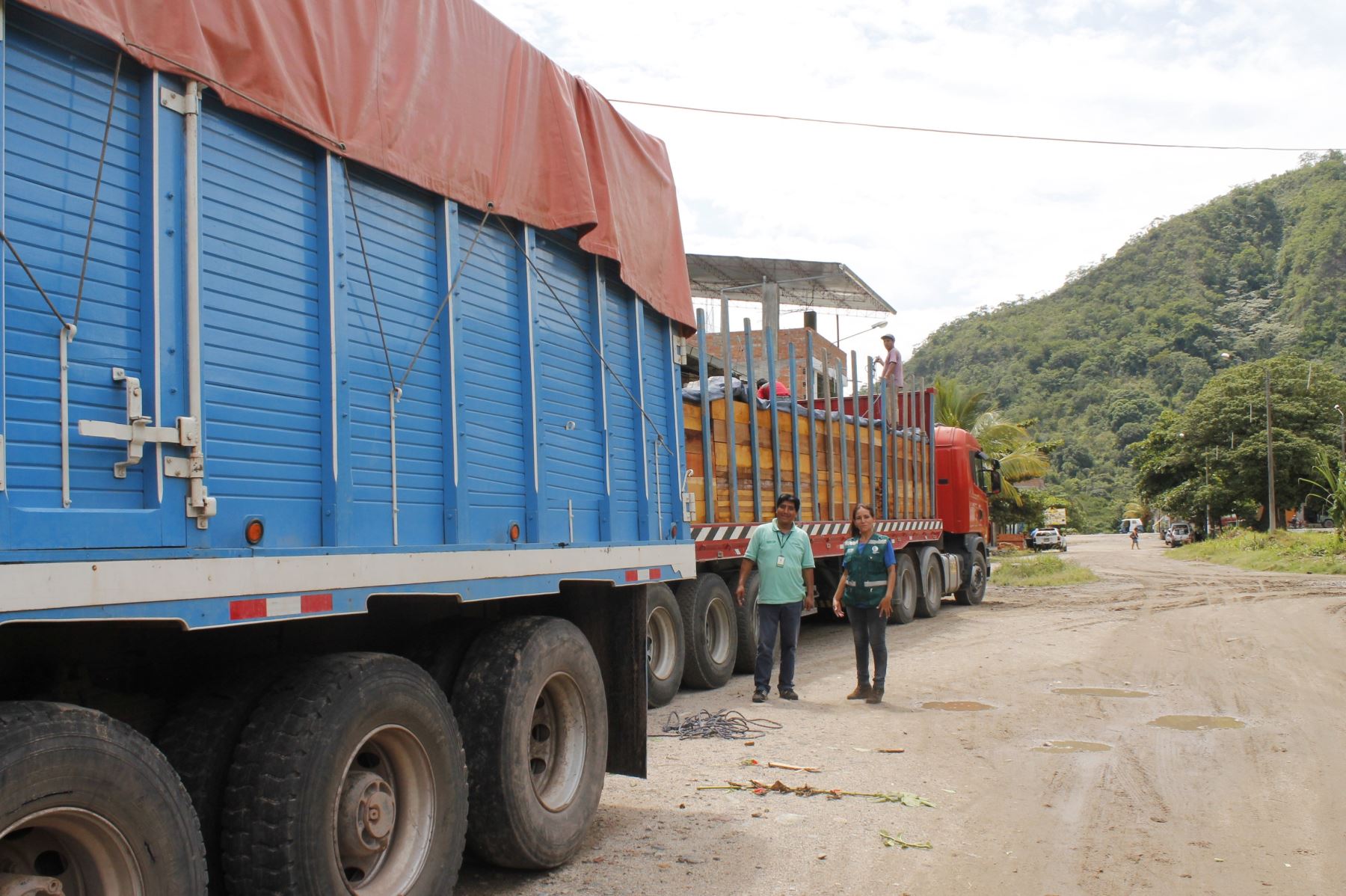 Serfor interviene a vehículos que trasladaban madera ilegal en Junín bajo modalidad de carrusel.