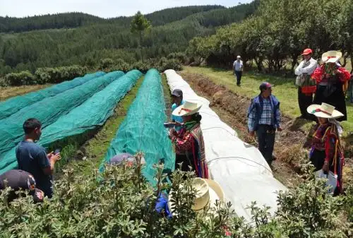 Para fines de  2018  se prevé ejecutar los proyectos de instalación de servicios del sistema para riego de 6 caseríos, con una inversión de más de 18 millones de soles. ANDINA/Difusión