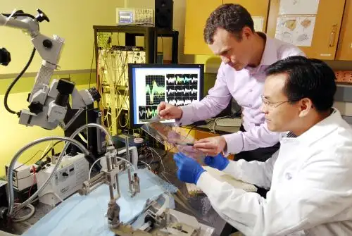 Esta carrera articula la ingeniería con la medicina. Foto: Wonderful Engineering