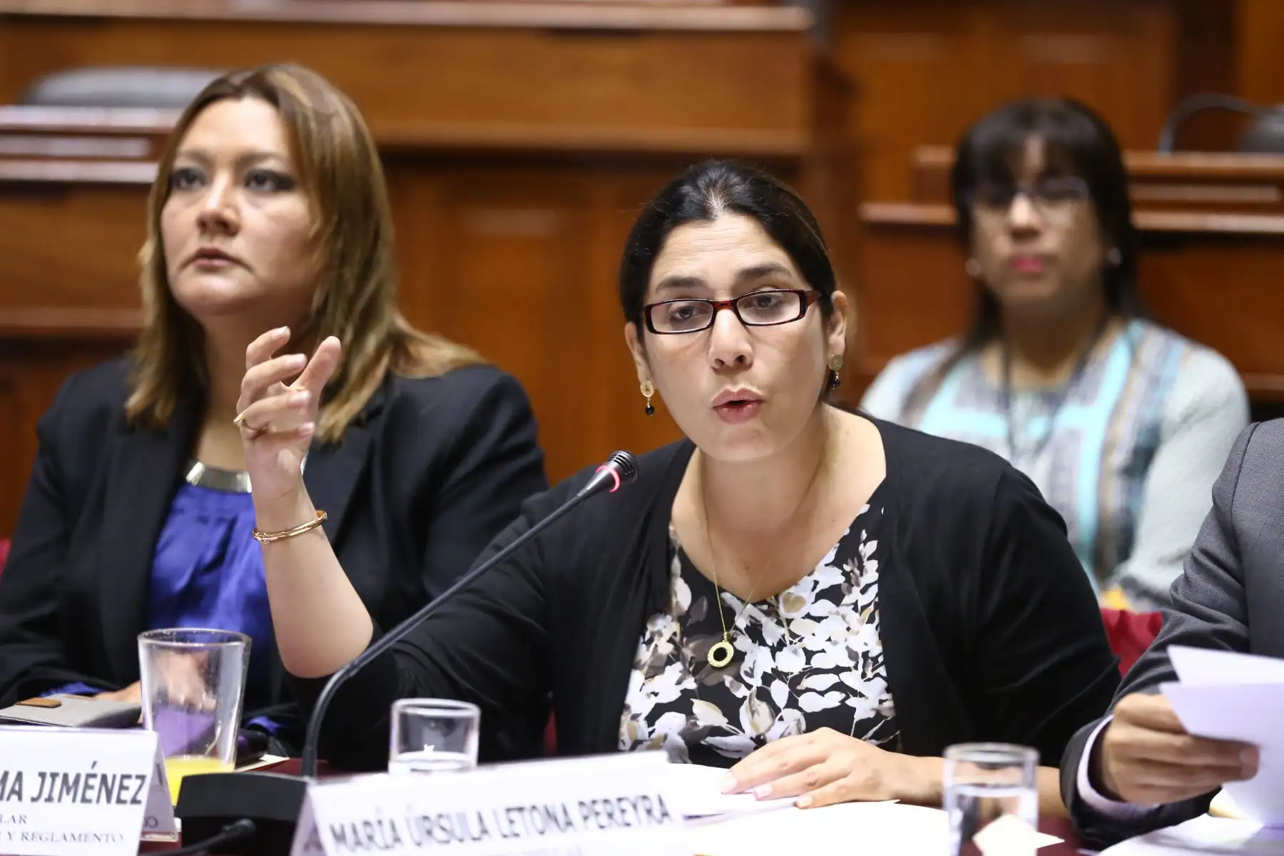 Foto: ANDINA/Difusión.