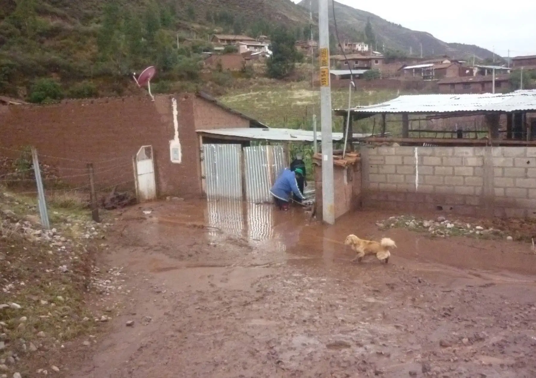 Viviendas resultaron afectadas por las lluvias e inundaciones. Cortesía