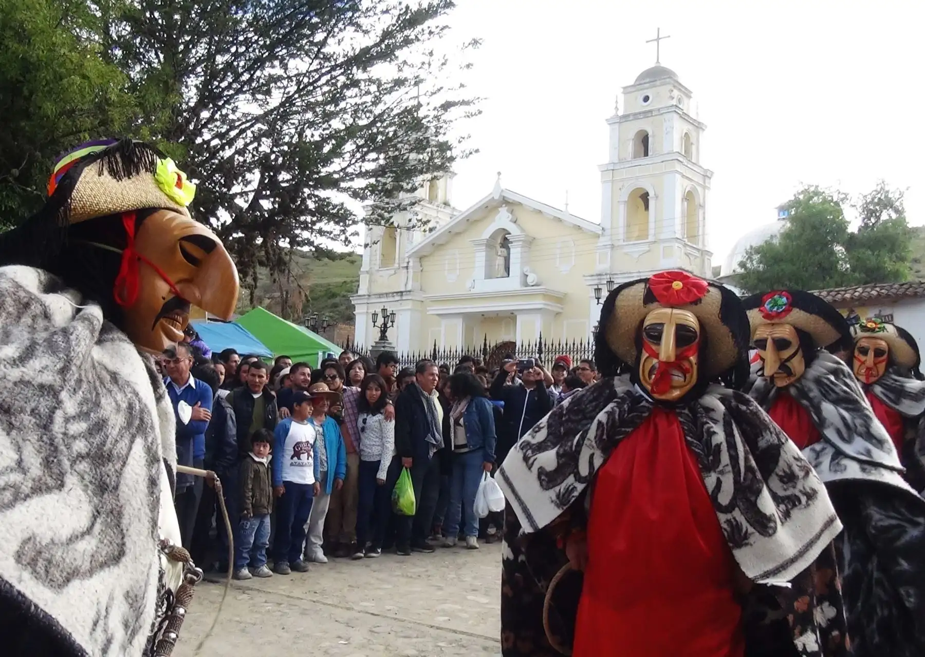 Foto: ANDINA/Pedro Tinoco.