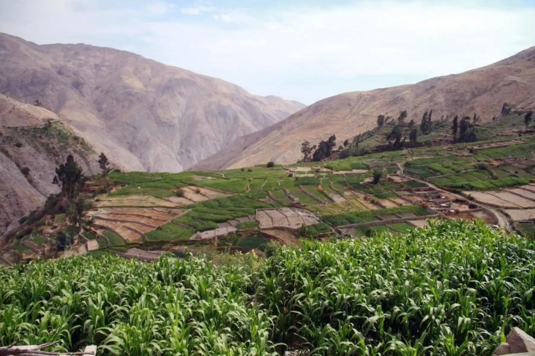 Valle Sagrado, en la provincia cusqueña de Urubamba. ANDINA/Difusión