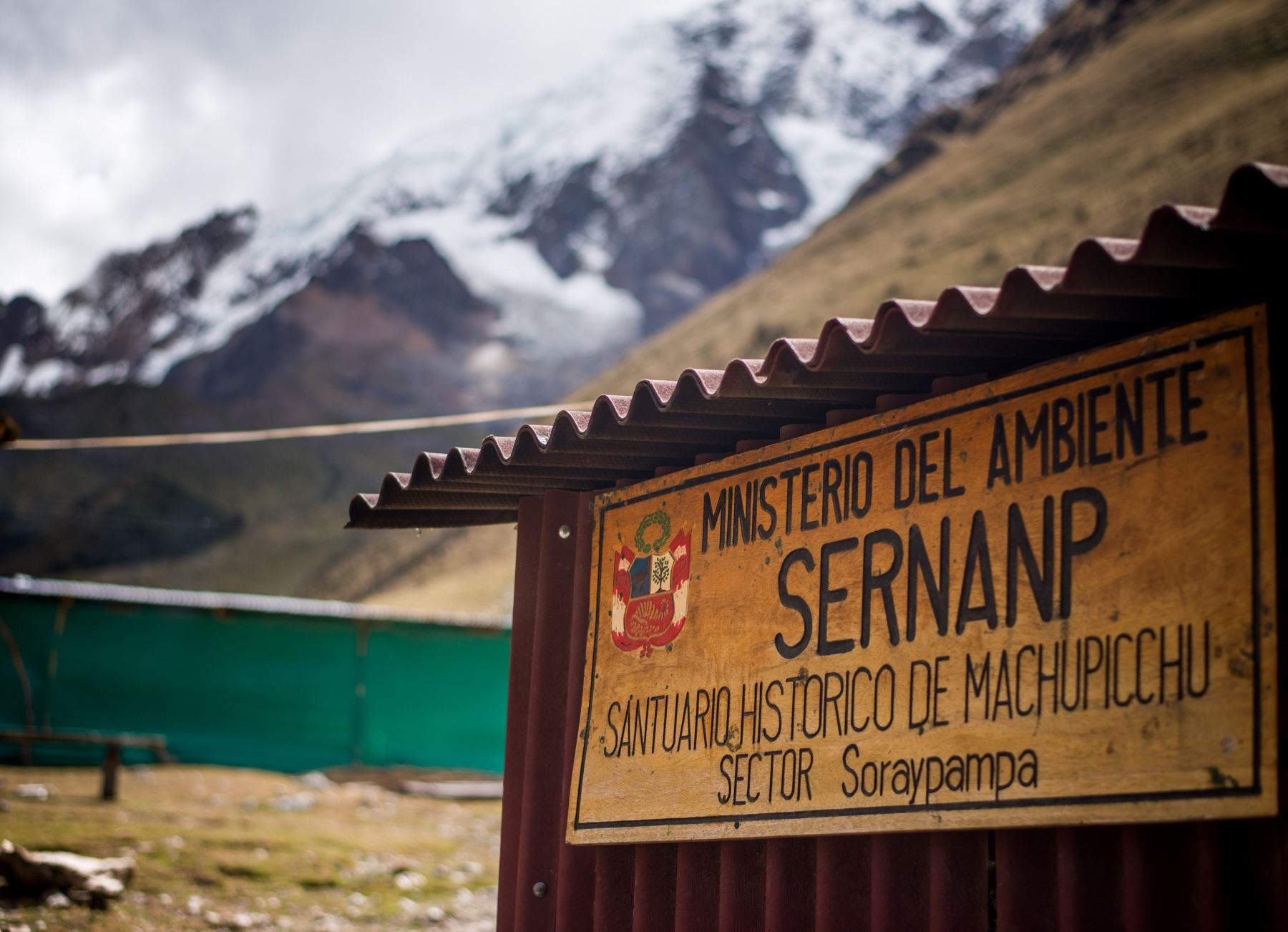 Monitoreo revela presencia del oso andino en 95% del Santuario Machu Picchu. ANDINA/Difusión