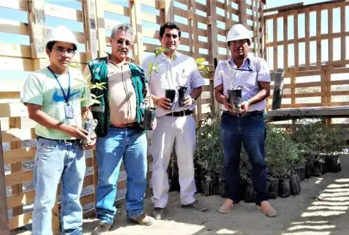 Estas acciones ayudarán a mitigar los efectos del cambio climático.