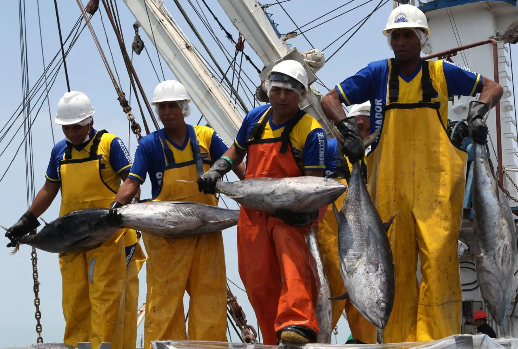 Pesca de atúnFoto: . ANDINA/Héctor Vinces.