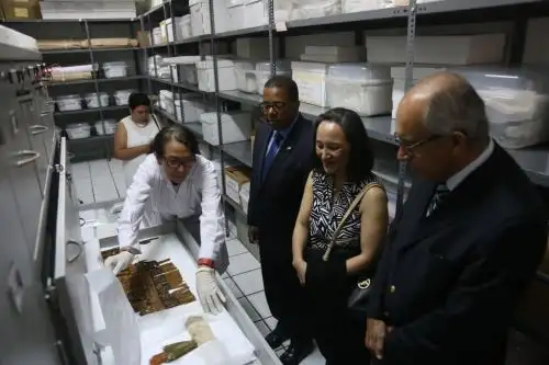 Muestra en museo de sitio de Puruchuco