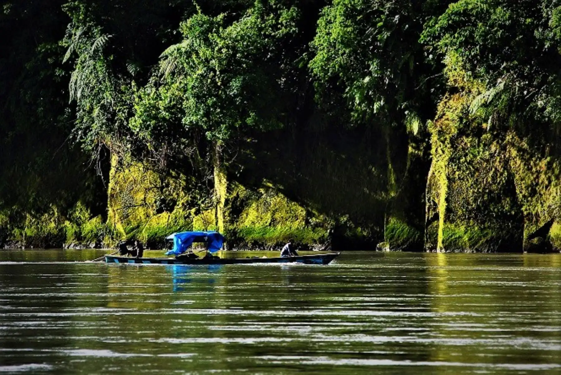 Foto: ANDINA/Difusión.