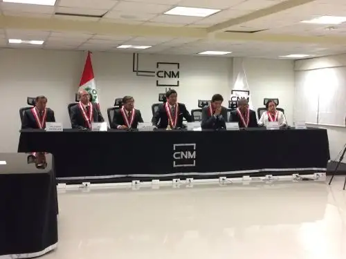 Pleno del CNM. Foto: Difusión.