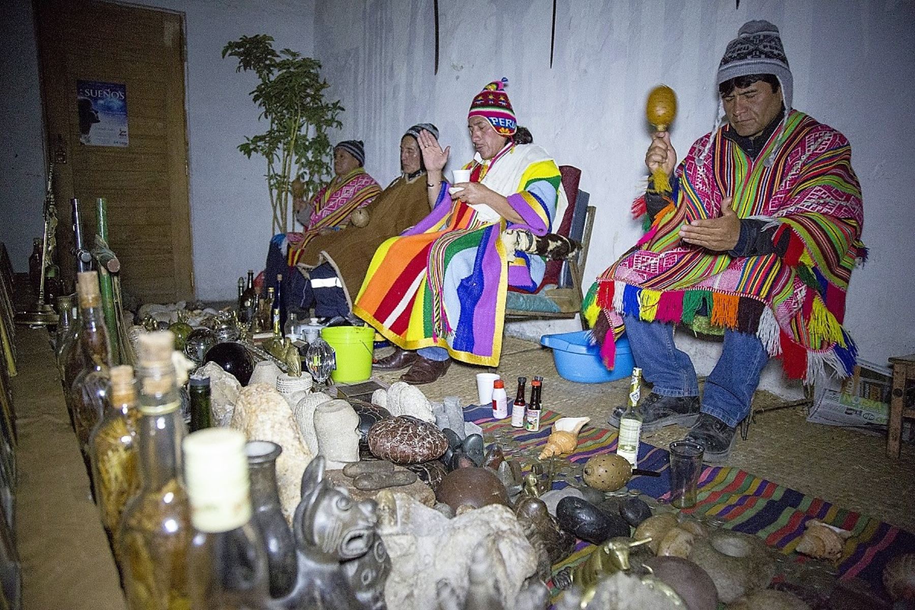 Declaran Patrimonio Cultural de la Nación a los conocimientos, saberes y usos tradicionales del cactus San Pedro en las prácticas del curanderismo en el norte del Perú. ANDINA