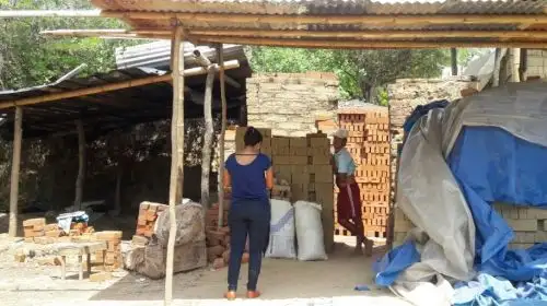 Con el objetivo de prevenir la explotación y maltrato laboral contra los menores de edad, la Fiscalía Mixta del Distrito Fiscal de Tumbes viene realizando diversos operativos en zonas de cultivo agrícola