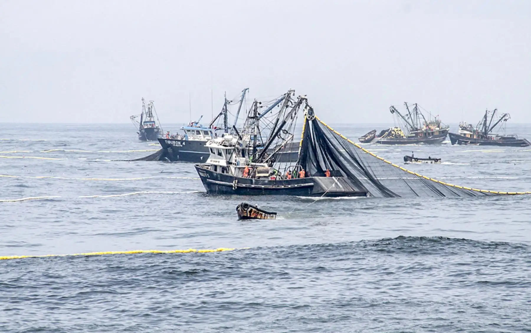 Pesca de anchoveta. ANDINA/Difusión