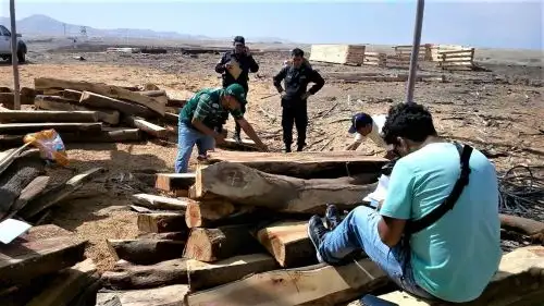 En las diferentes acciones de control las personas intervenidas no contaban con la respectiva autorización para aprovechamiento maderable o la Guía de Transporte Forestal.