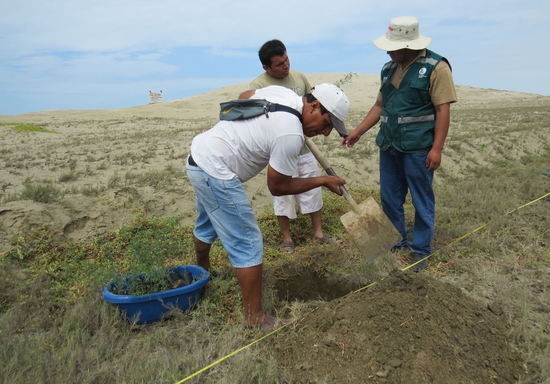Sentenciados por delitos ambientales reforestarán a fines de mes la comunidad campesina San Pedro de Mórrope, región Lambayeque.