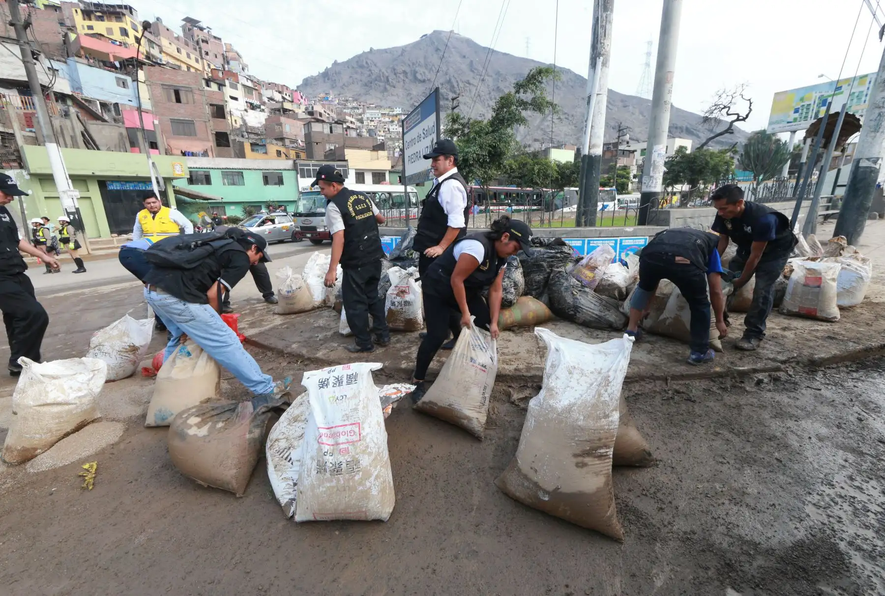 Foto: ANDINA/Norman Córdova.