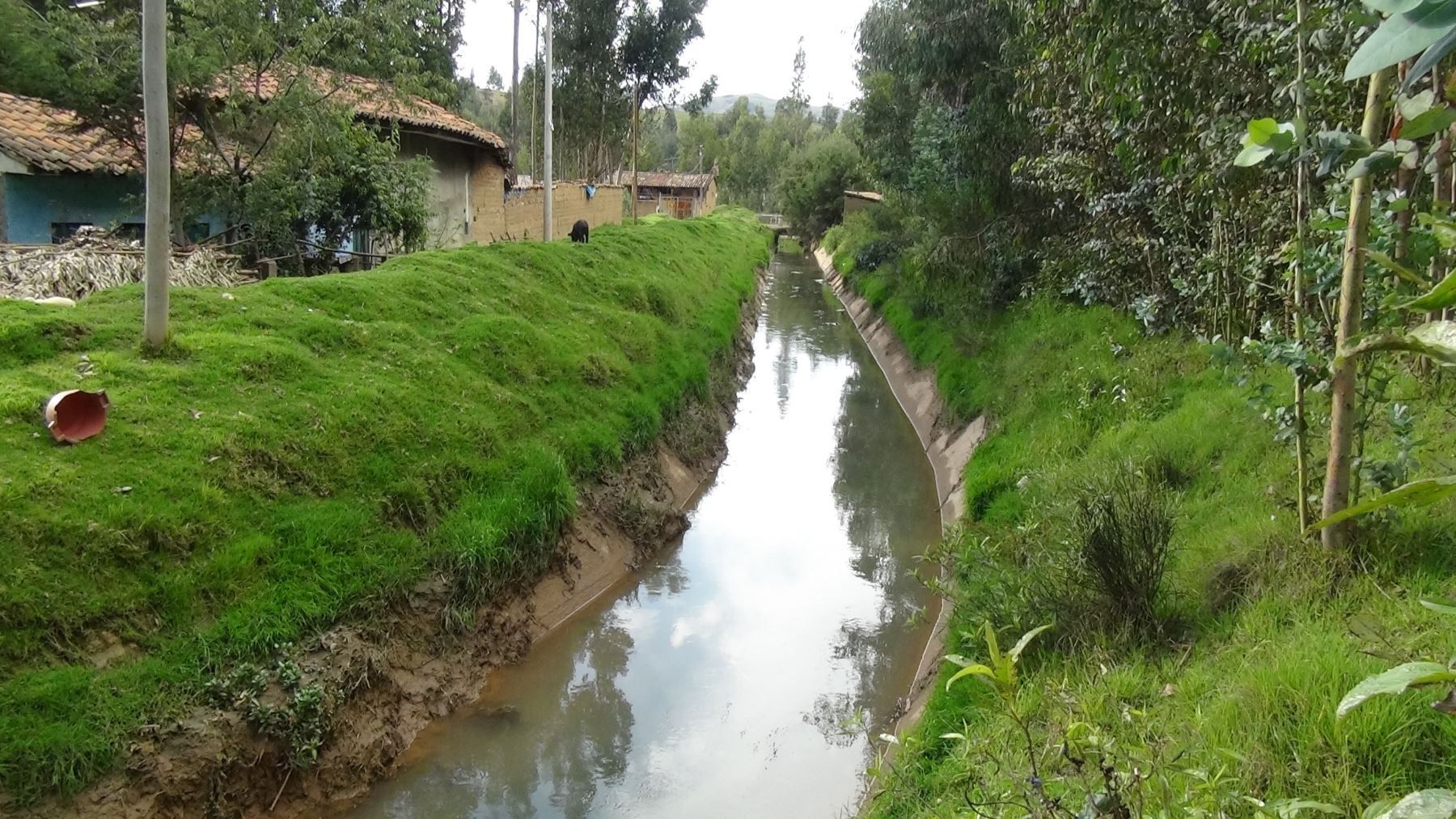 Hace varios años no se realiza la limpieza y descolmatación respectiva.del canal de irrigación de la margen izquierda del río Mantaro.