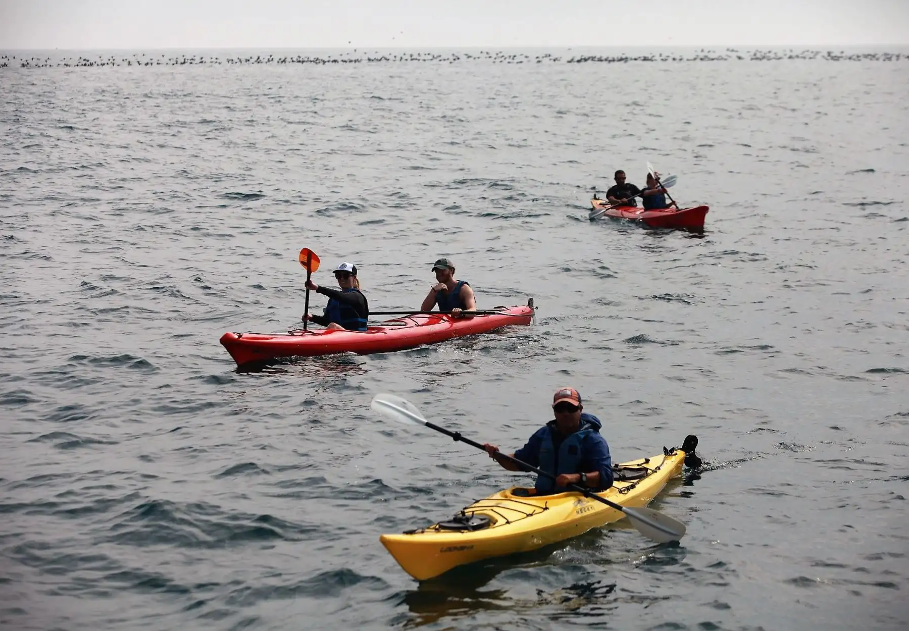 La Reserva Nacional de Paracas, en Ica, fue una de las áreas naturales protegidas más visitadas durante 2016. ANDINA/Difusión