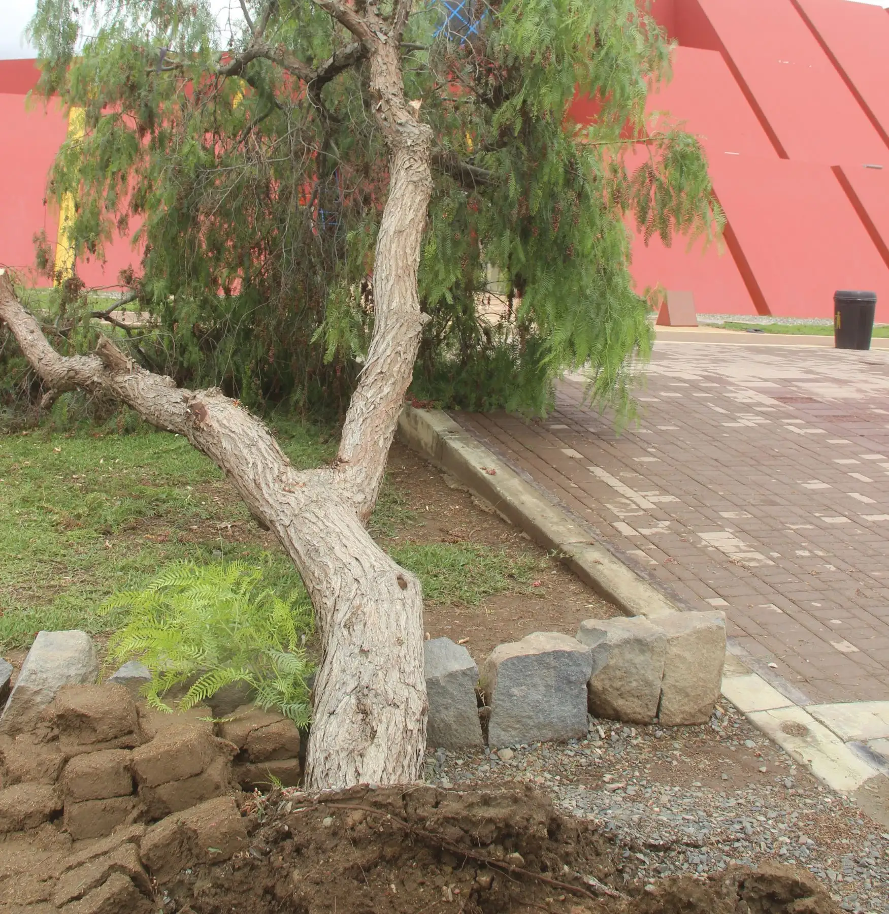 Walter Alva expresa preocupación por afectación de lluvias a patrimonio cultural de Lambayeque. ANDINA