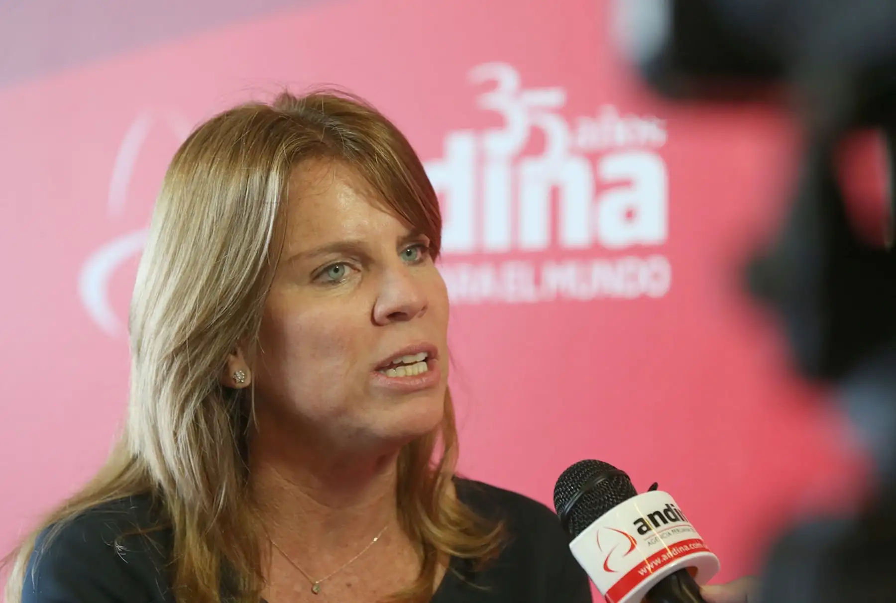 LIMA, PERÚ- FEBRERO 09.Ministra de Desarrollo e Inclusión Social, Cayetana Aljovín, en el  III Gore Ejecutivo ”Agenda de Acción” 2017, en el Centro de Convenciones. Foto Andina/Dante Zegarra.