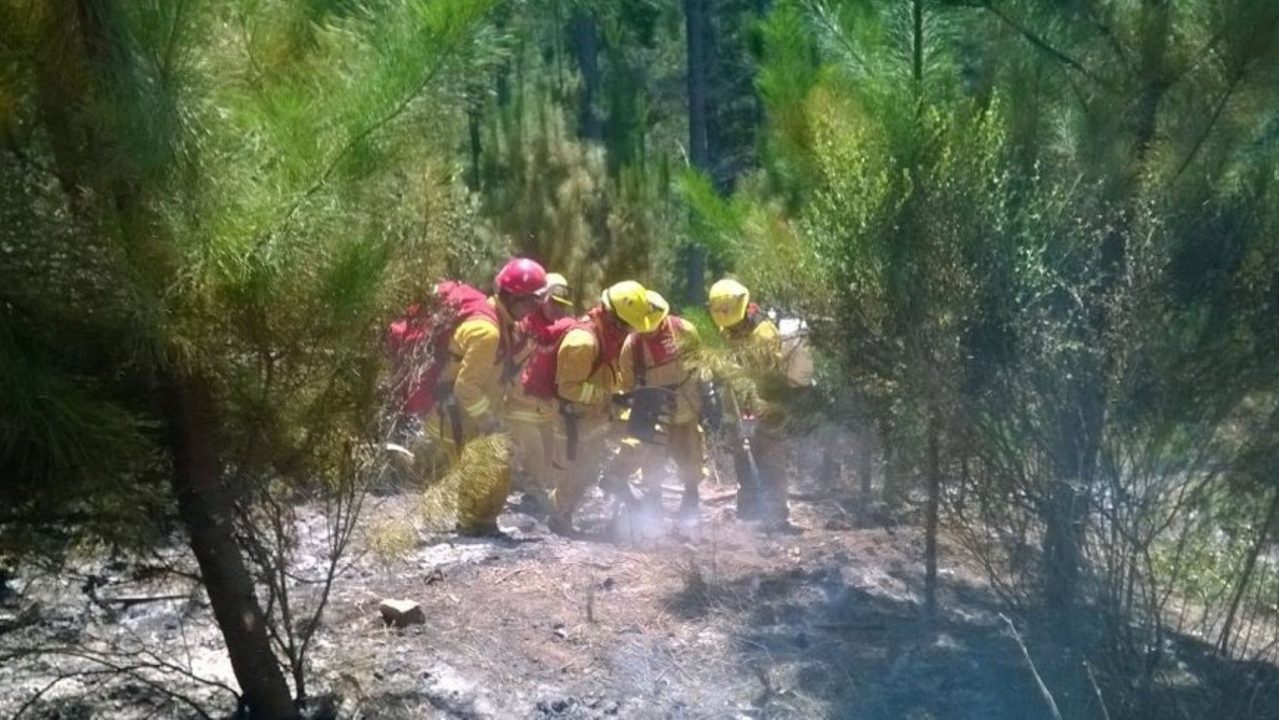 La brigada de 20 guardaparques bomberos forestales del Servicio Nacional de Áreas Naturales Protegidas por el Estado (Sernanp) colaboraron durante 15 días en las labores de control del incendio forestal que se registró en Chile.