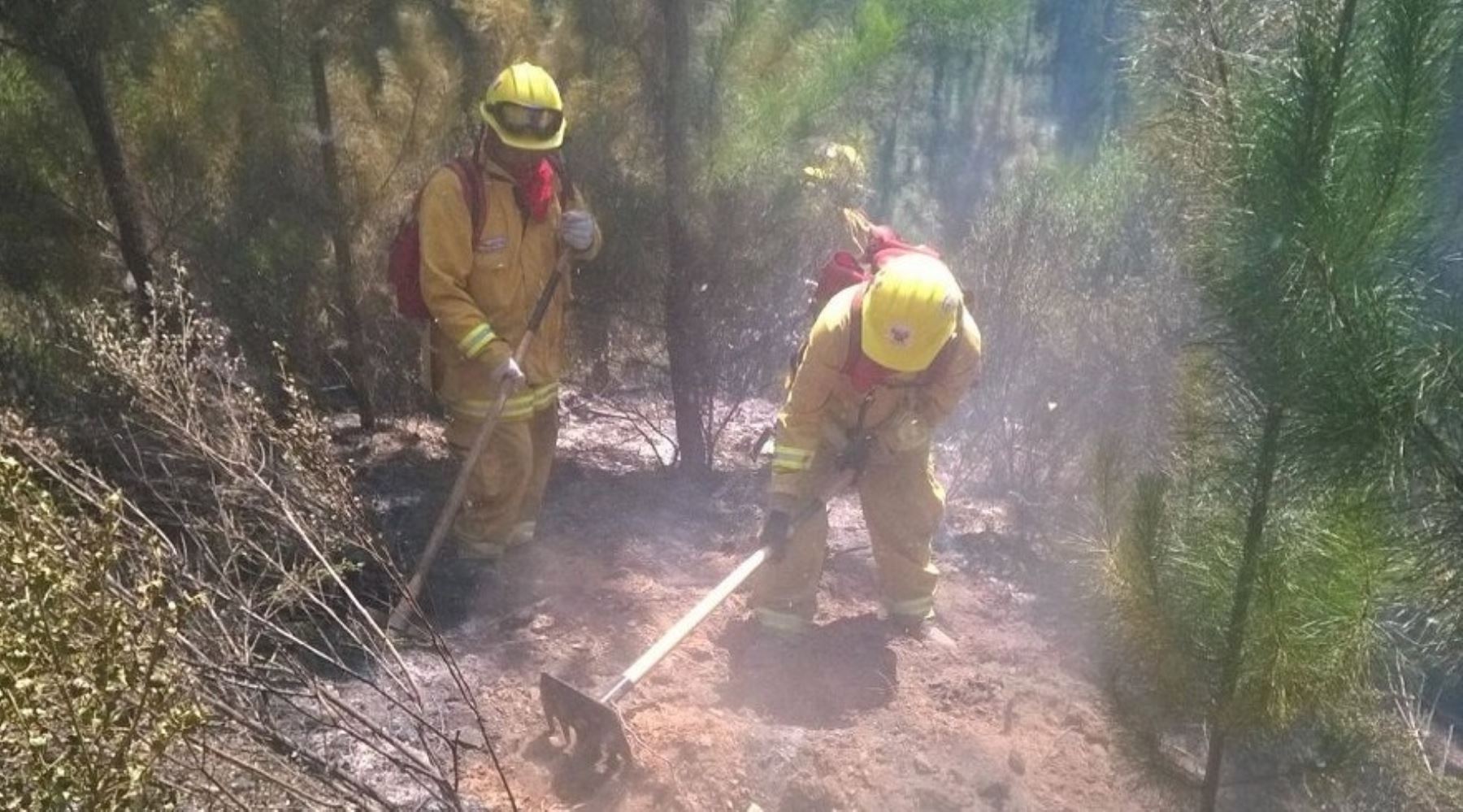 La brigada de 20 guardaparques bomberos forestales del Servicio Nacional de Áreas Naturales Protegidas por el Estado (Sernanp) colaboraron durante 15 días en las labores de control del incendio forestal que se registró en Chile.