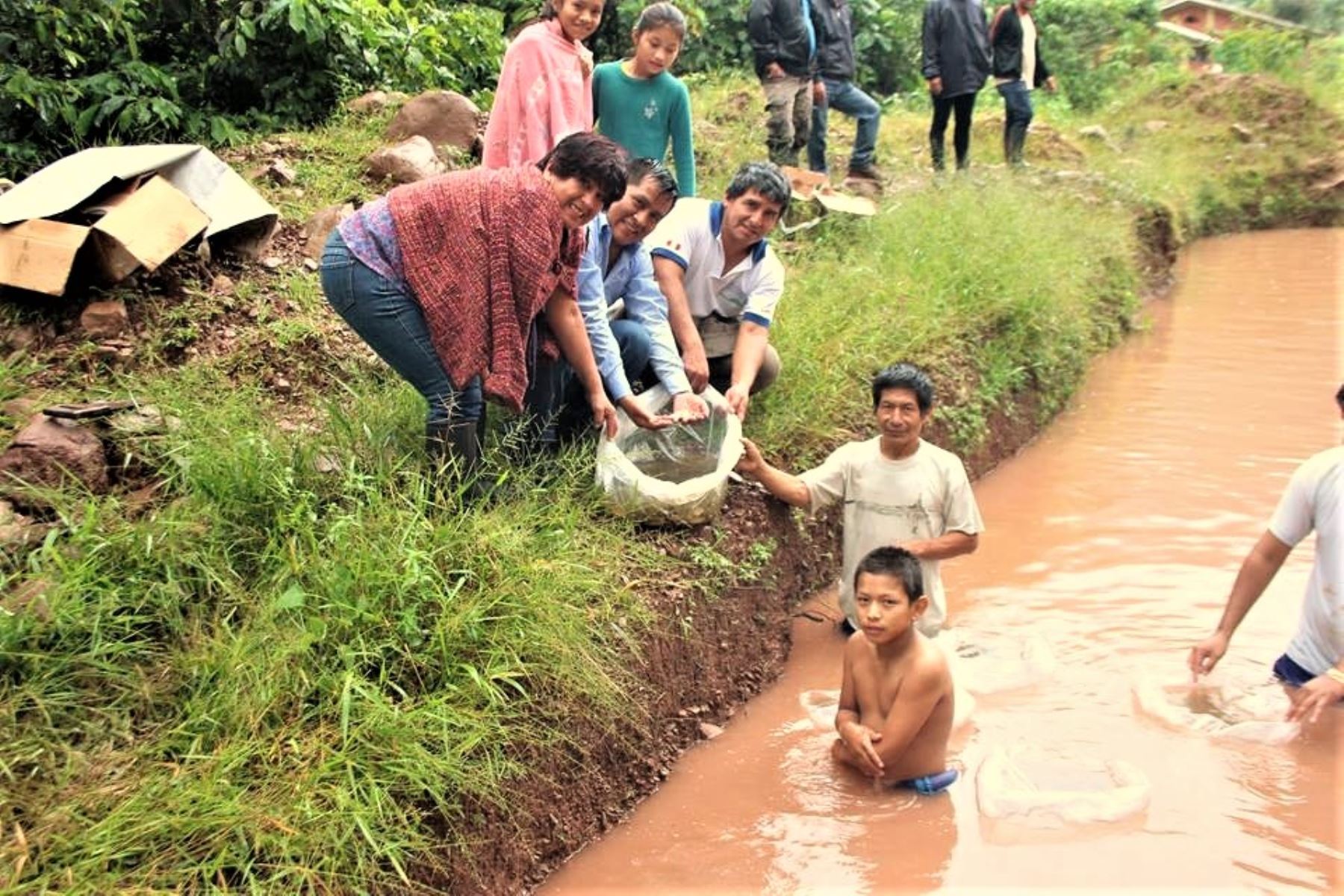 Los pobladores, tras recibir los alevinos, fueron orientados por profesionales piscicultores de la Amazonía Peruana.