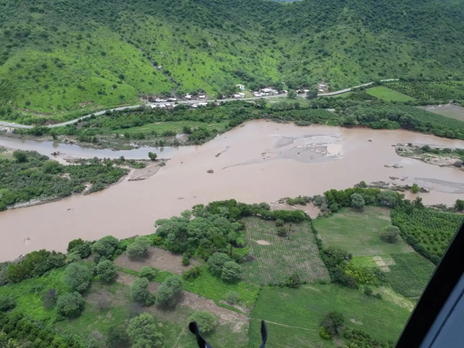 ANDINA/Difusión