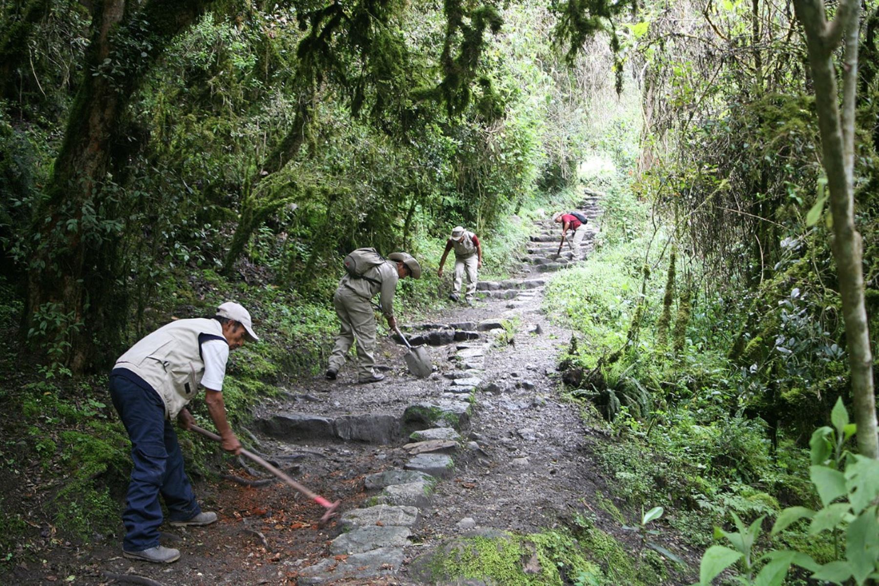 Rehabilitan accesos al Camino Inca en Machu Picchu.