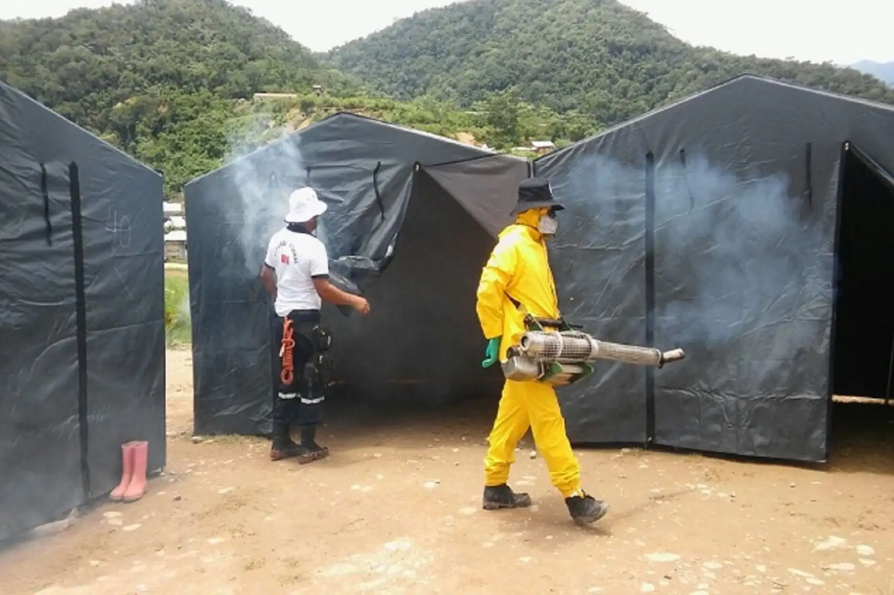 Minsa fumigó 60 viviendas y 40 carpas del albergue.