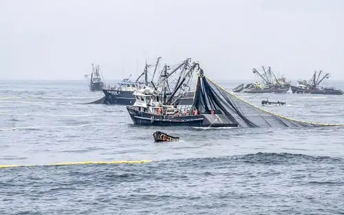 El mar de Chimbote estaría contaminado por embarcación china. ANDINA/Difusión