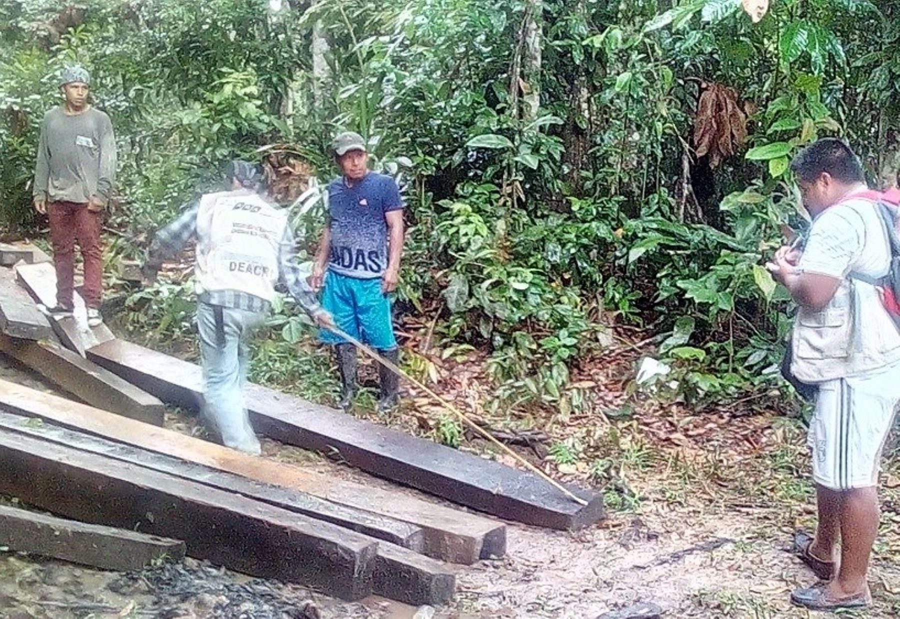 Decomisan más de 3,000 pies de madera ilegal en distrito Caynarachi, región San Martín. ANDINA