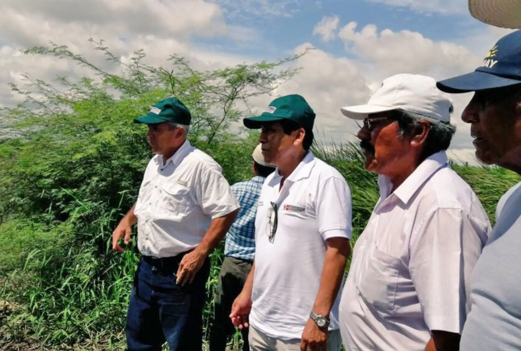 El Ministro de Agricultura, José Manuel Hernández llega al distrito de Ignacio Escudero, Sullana, y dialoga con agricultores de arroz y banano orgánico. Foto: ANDINA/ Difusión