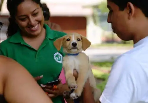 Perrita que salvó de huaico en Chosica fue adoptada por familia de Surco. Foto: ANDINA/Difusión.