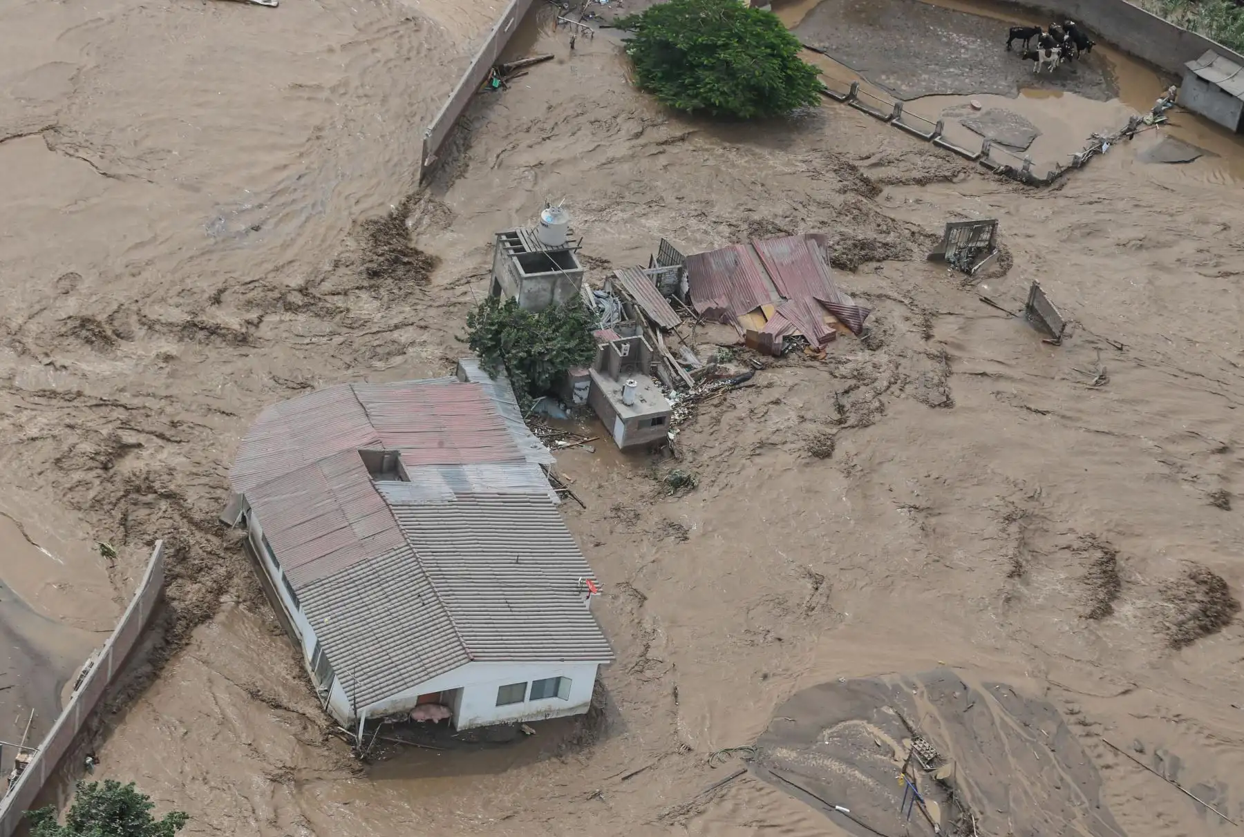 El desborde del río Rímac generó fuertes daños en diversas localidades de los distritos de San Juan de Lurigancho y Lurigancho-Chosica. Foto: ANDINA/Carlos Lezama.