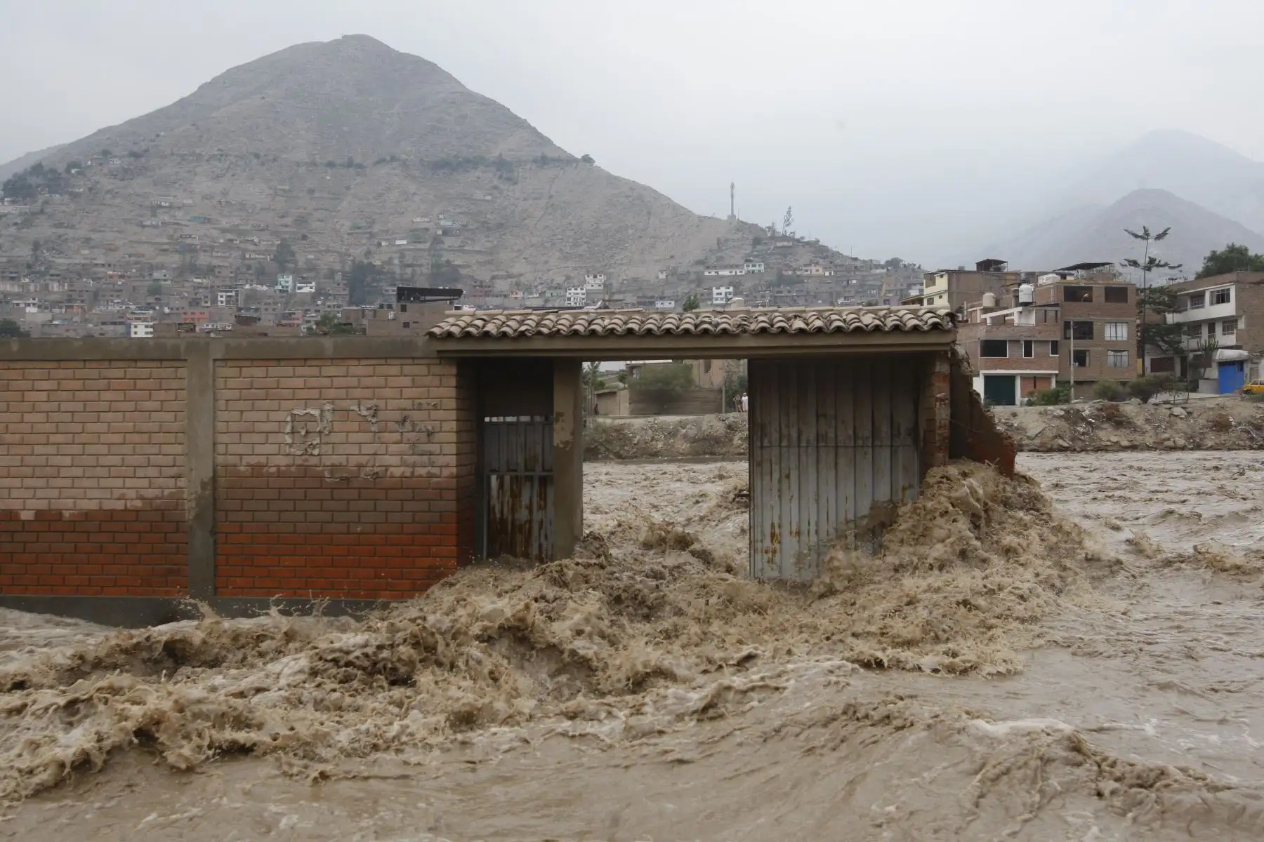 LIMA,PERU-MARZO 18. Zona cañaveral en Chosica.Foto: ANDINA/Eddy Ramos