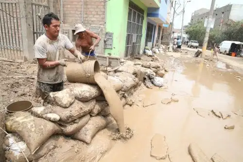 Foto: ANDINA/Vidal Tarqui.