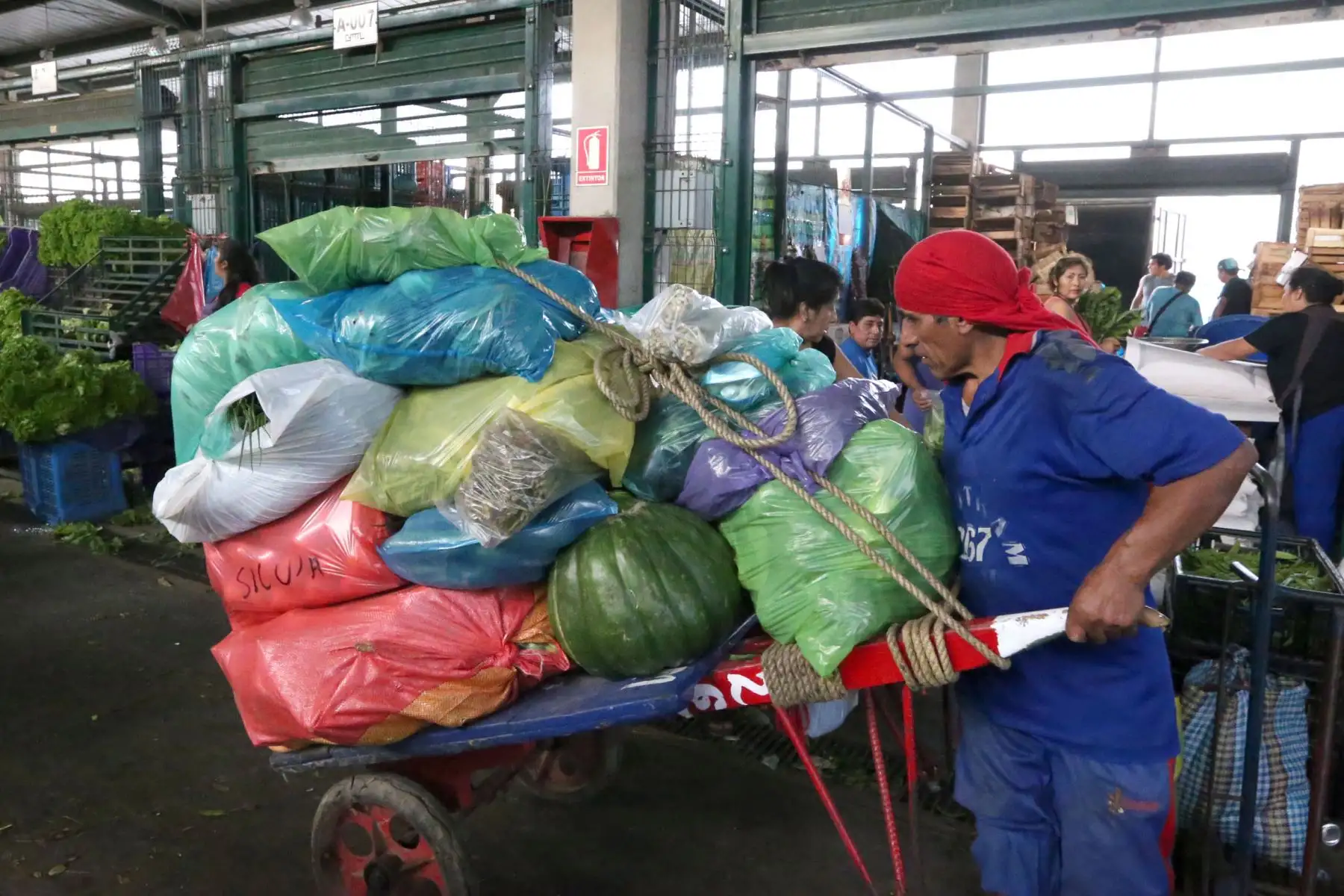 LIMA,PERÚ-MARZO 21.El Mercado Mayorista de Santa Anita registró un abastecimiento normal de los principales productos de la canasta básica, cuyos precios en varios casos disminuyó, como el limón y el camote. Foto: ANDINA/Dante Zegarra