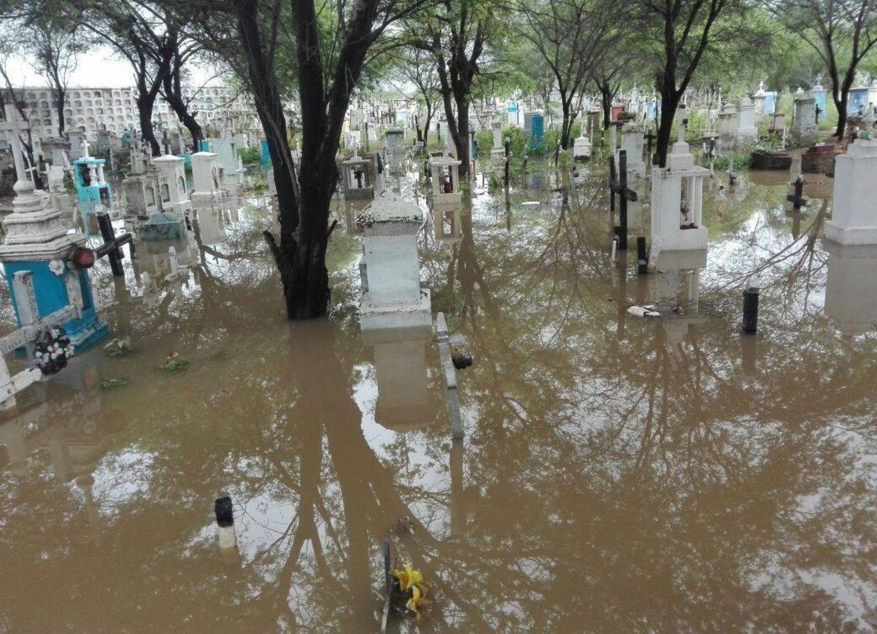 Cementerio de Catacaos totalmente inundado.Foto:  ANDINA.