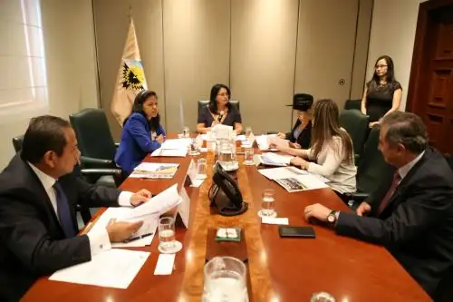 Sesión de la Comisión de la Mujer del Parlamento Andino. Difusión
