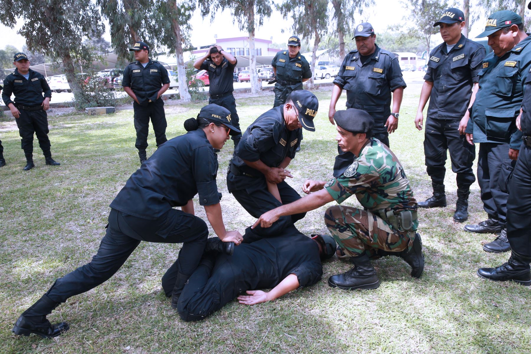 ley de la policia nacional del peru